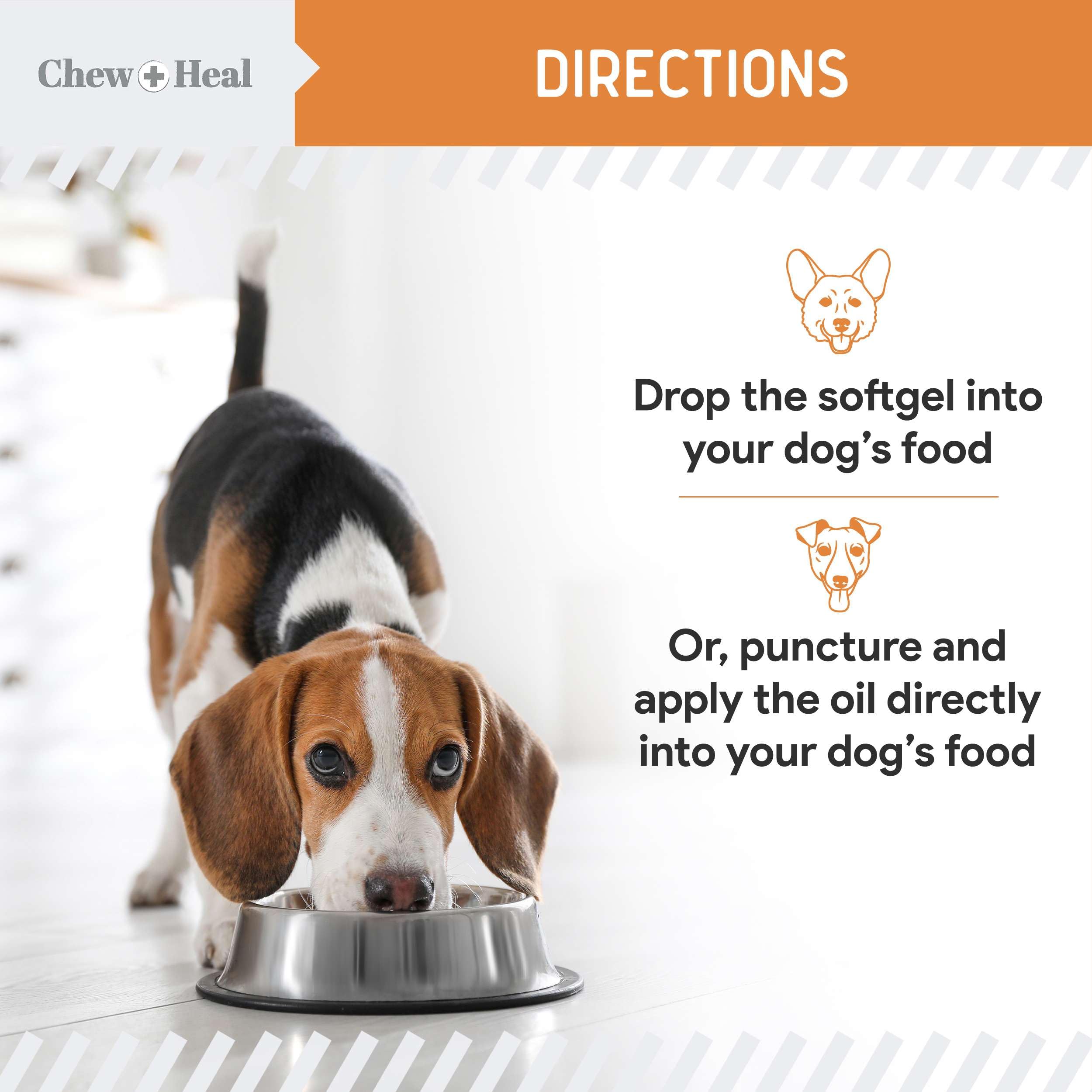 Chew + Heal démangeaisons et allergies — soutien potentiel du pelage