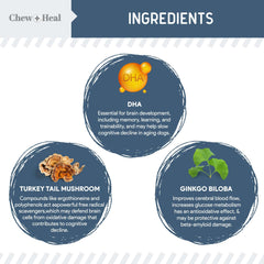 Bouchées oméga pour la vision et cognition, Chew + Heal Labs.