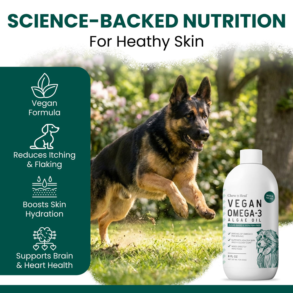 Chew + Heal Labs – algue omega3 avec DPA, intégré à la routine quotidienne du chien.