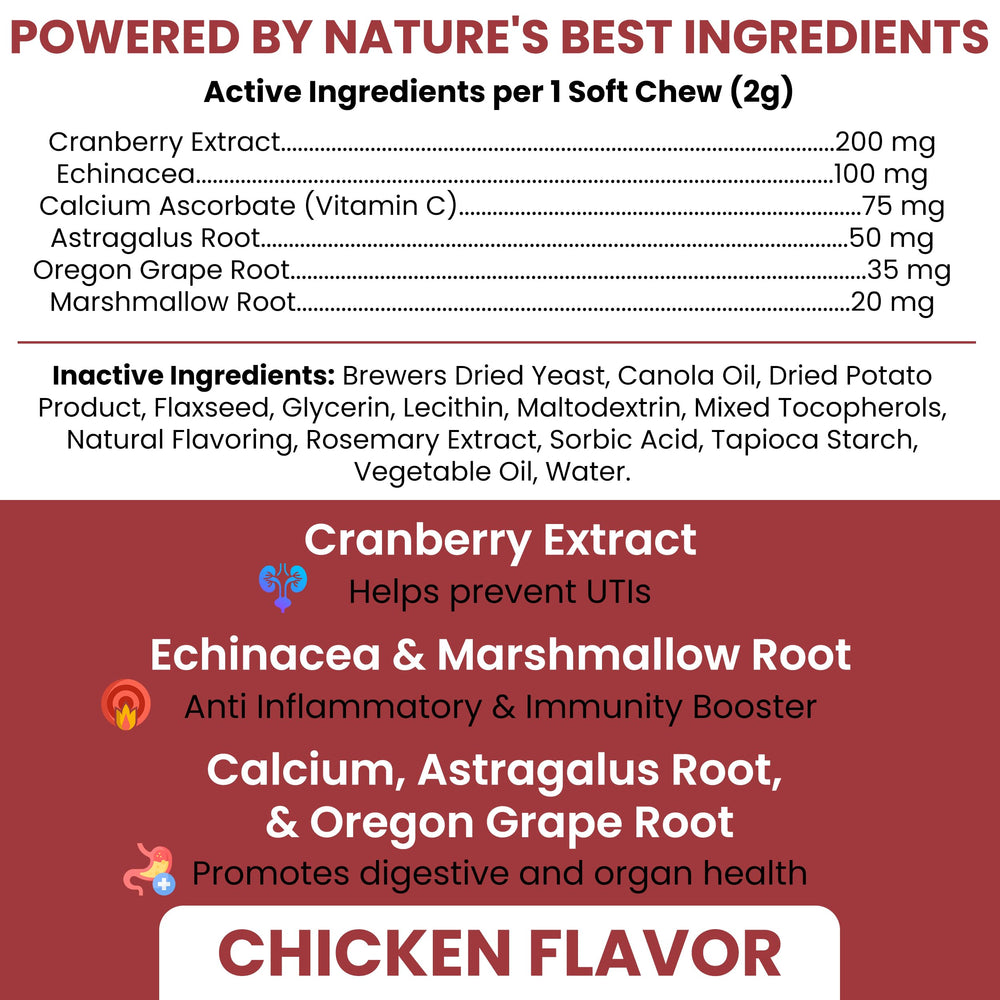 Chew + Heal Labs bouchées canines: format moelleux et saveur poulet appréciés.