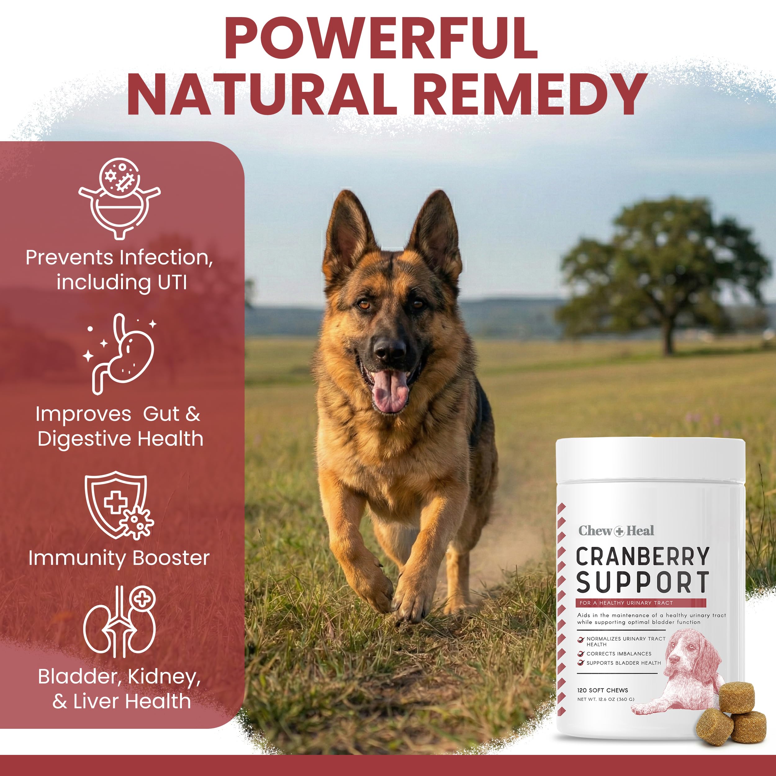Chew + Heal Labs bouchées canines: soutien potentiel du système urinaire.