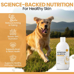 Chew + Heal Labs pelage du chien brillant grâce à l'huile de saumon.