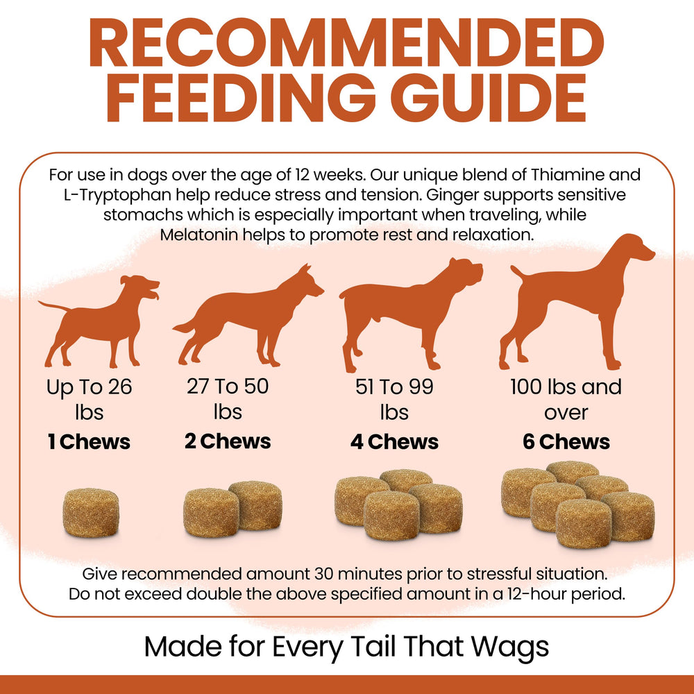Chew + Heal Labs chien en voyage, aide digestive et réconfort pendant le trajet