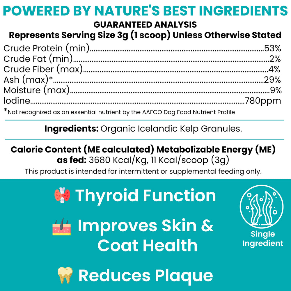 Chew + Heal Labs: cuillère 5cc pour dosage précis