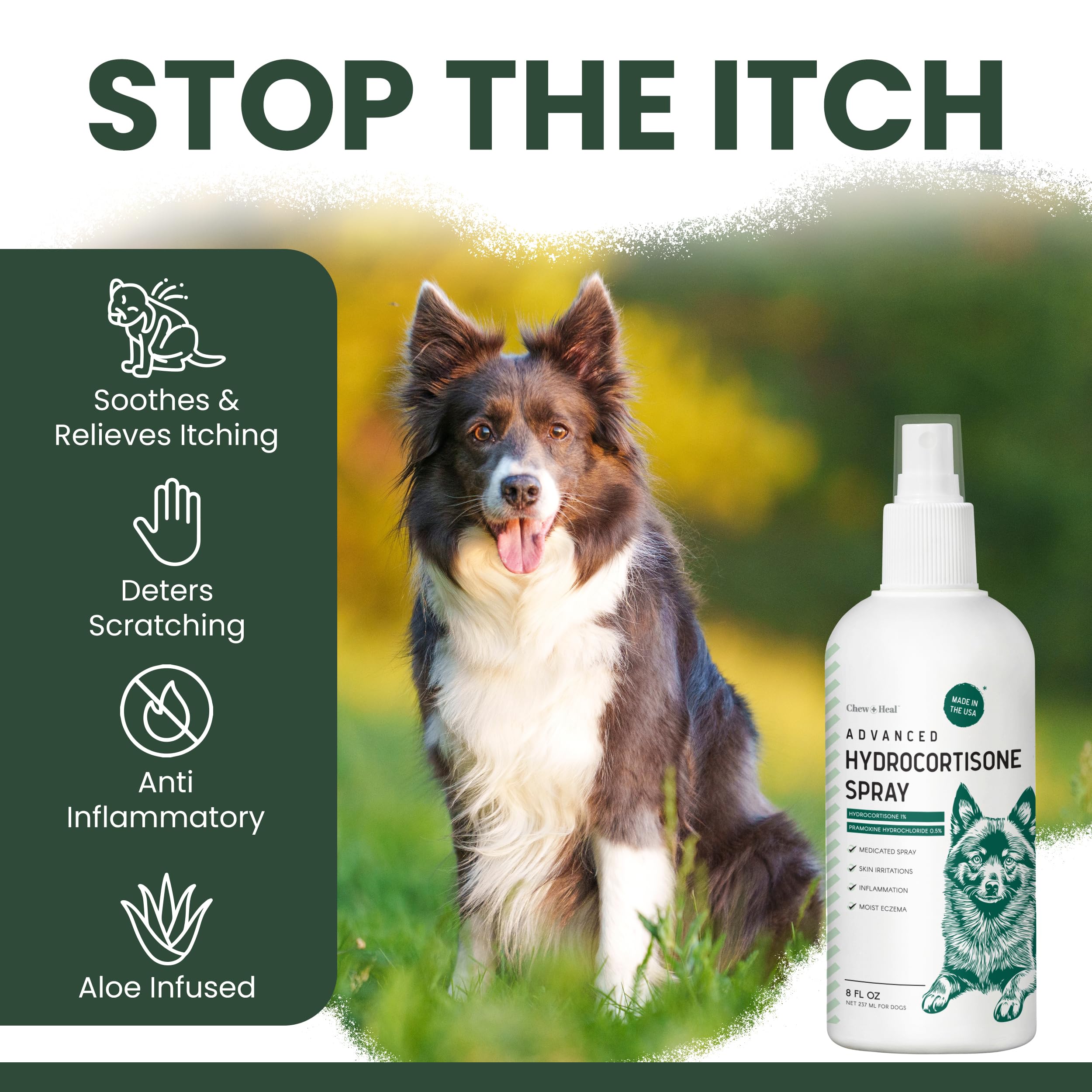 Chew + Heal Labs demangeaisons-chien — aide à réduire l'envie de se gratter localement.