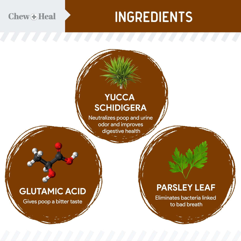 Chew + Heal Labs détournement coprophagie chiot peut aider.