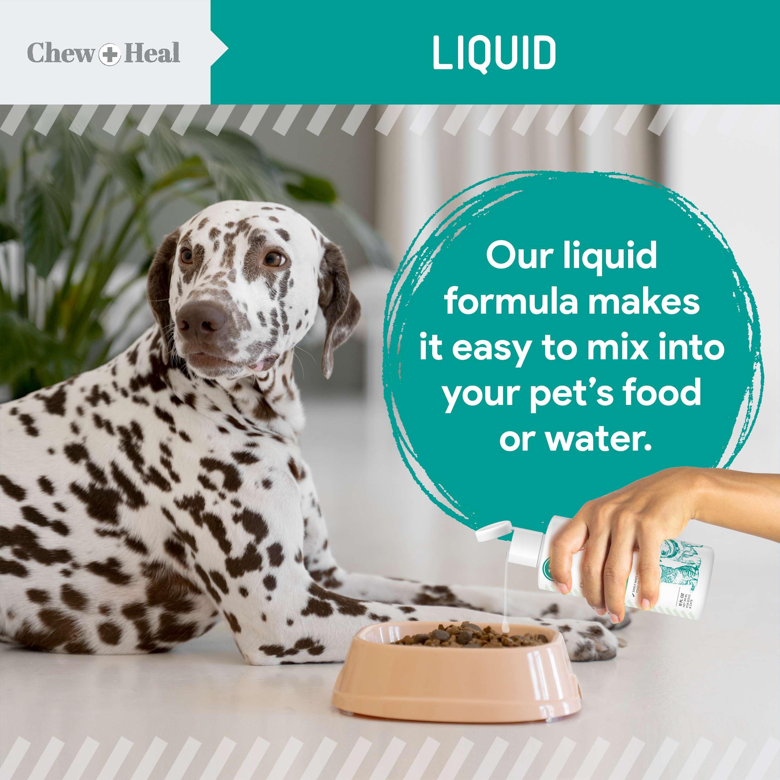 Administration simple: vermifuge liquide Chew + Heal Labs dans nourriture ou eau.