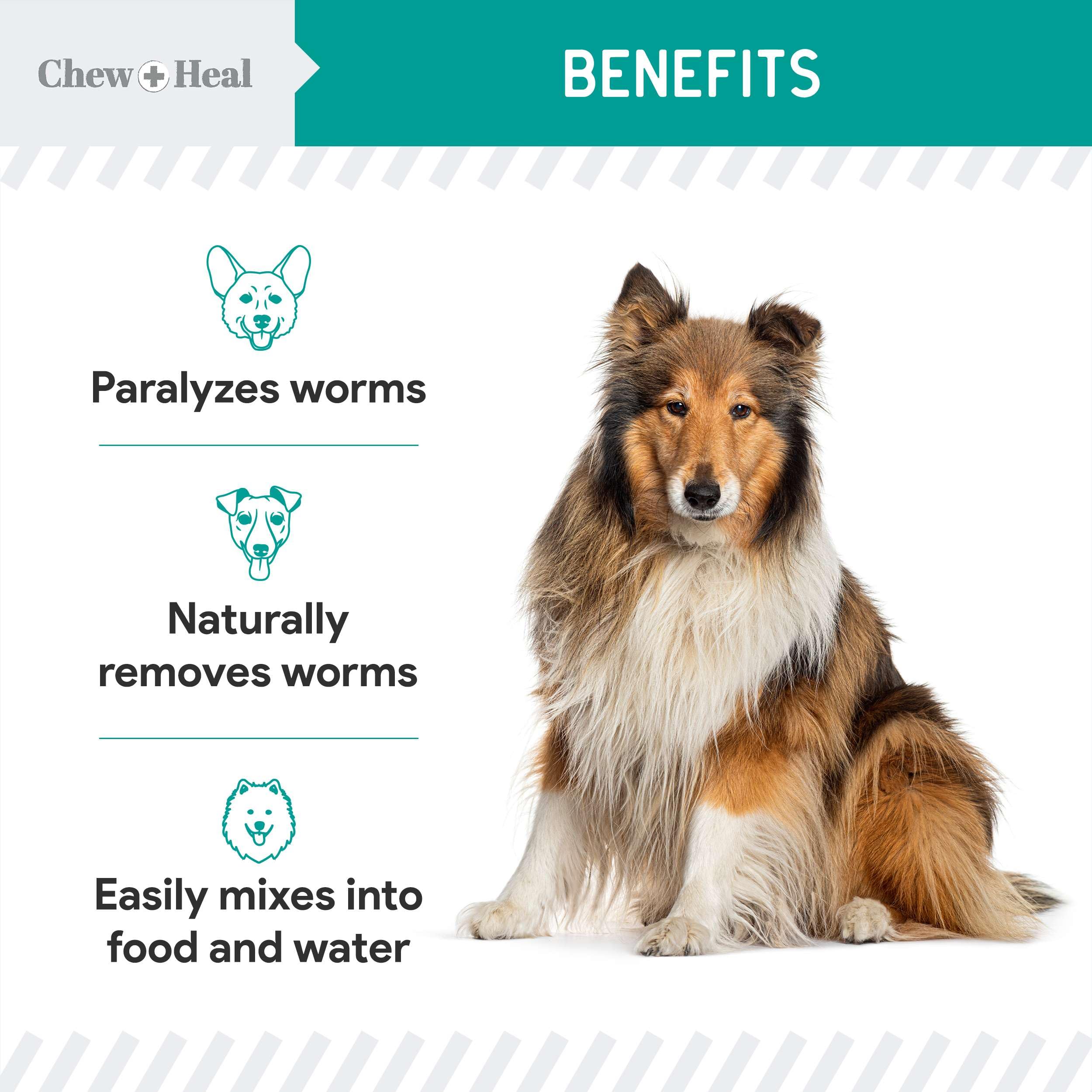 Active inhalation et action sur vers ronds avec Chew + Heal Labs vermifuge liquide.