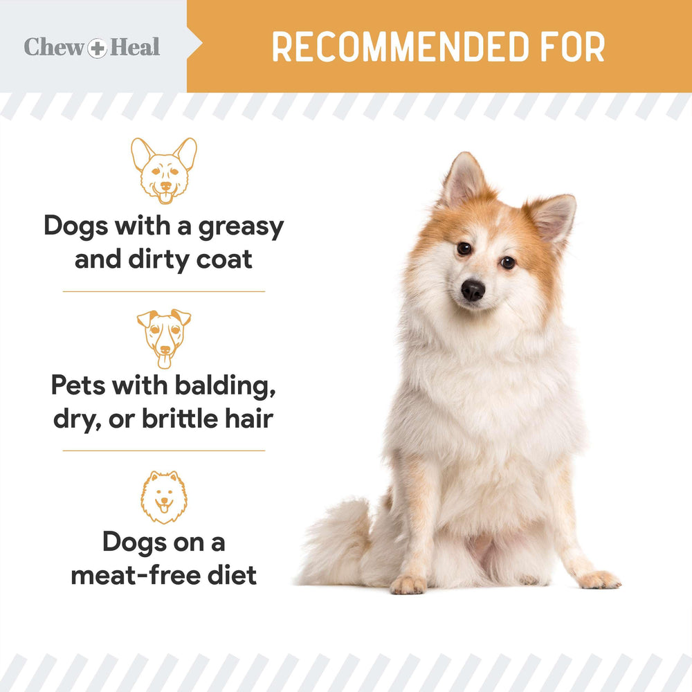 Emballage pratique 5 onces de Chew + Heal Labs