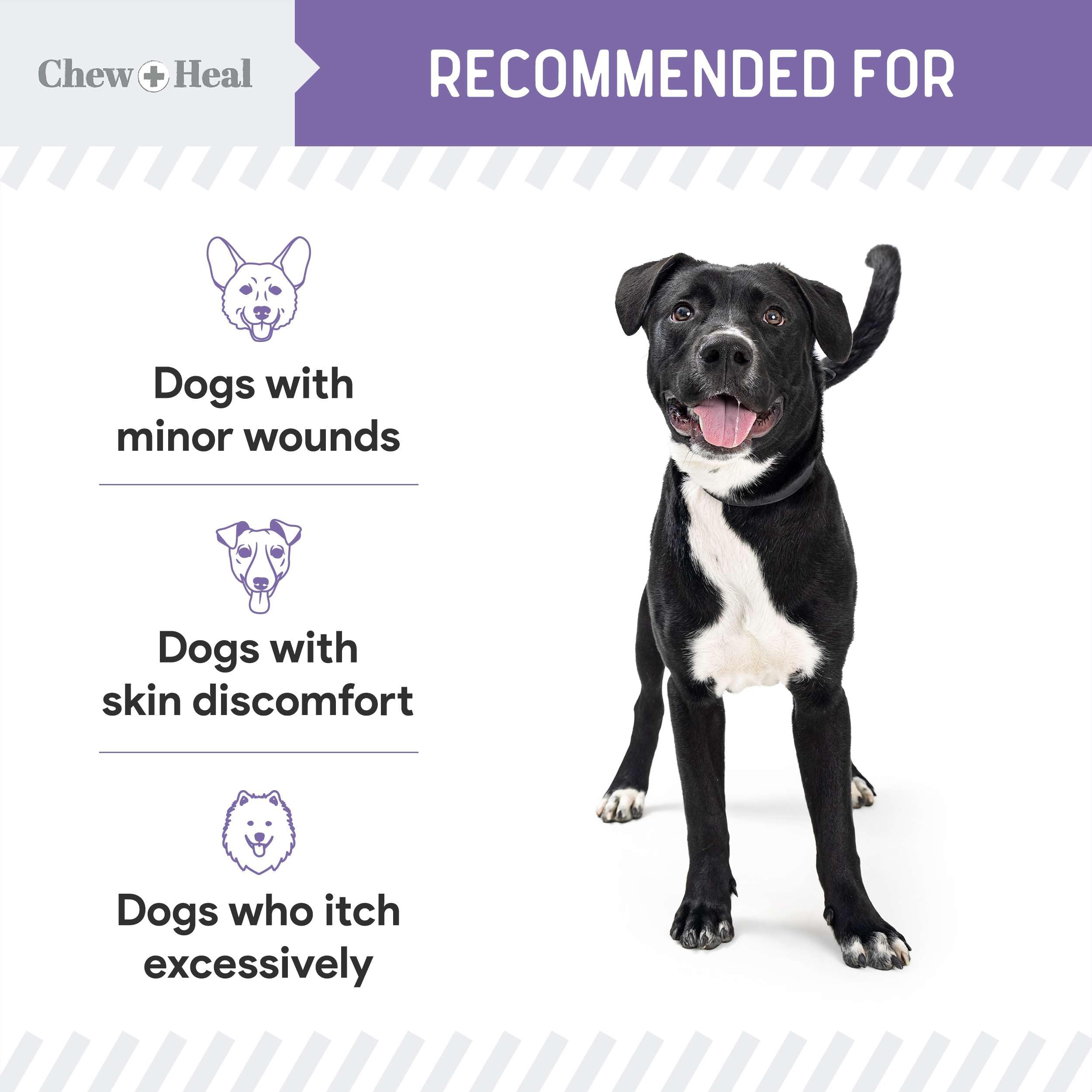 Chew + Heal Labs: emballage-etiquette claire, lisibilité et simplicité.