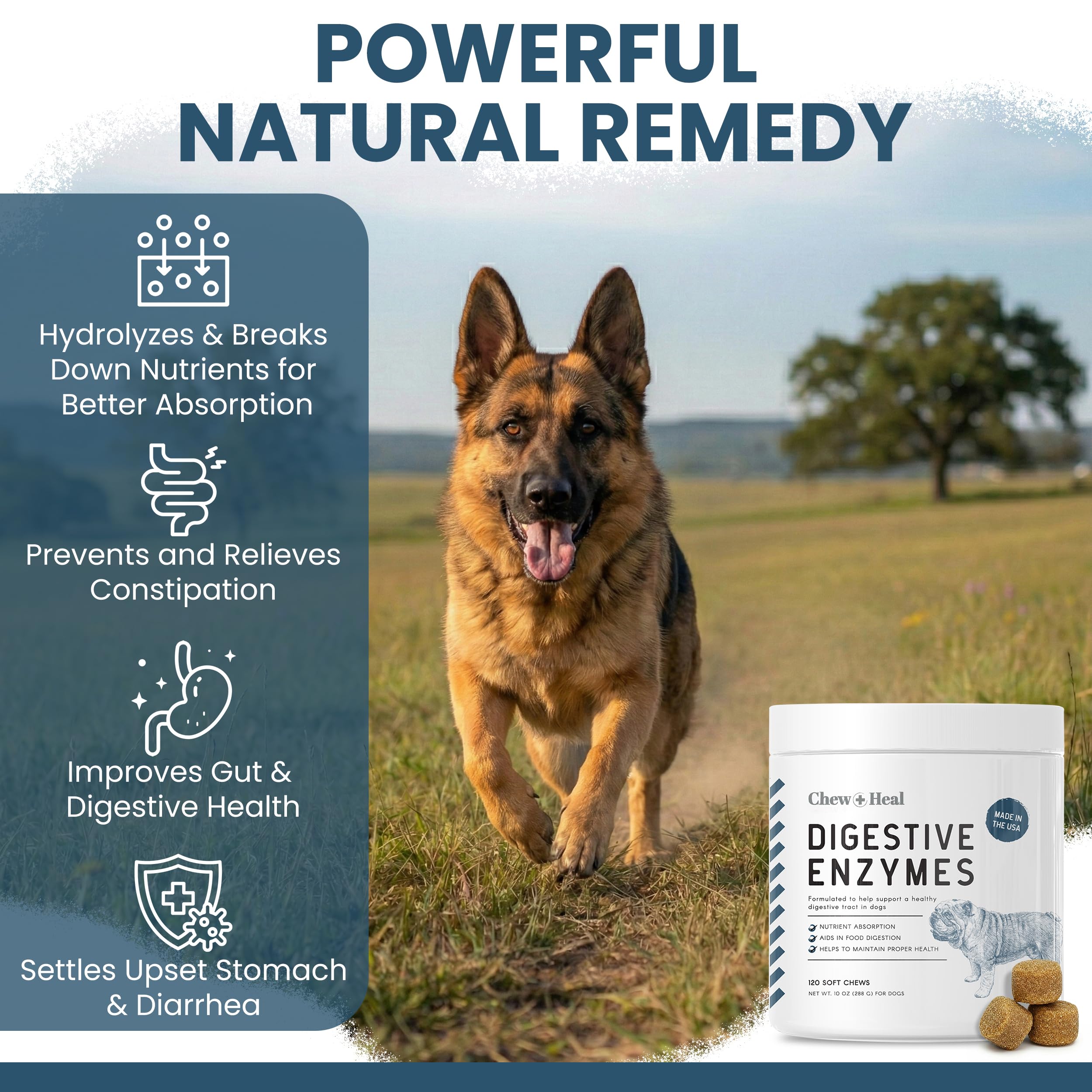 Enzymes digestives Chew + Heal Labs – protéase/amylase/lipase pour l’assimilation.