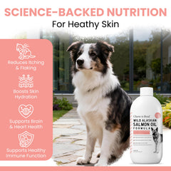 Étiquette claire Chew + Heal Labs sur la bouteille huile poisson.