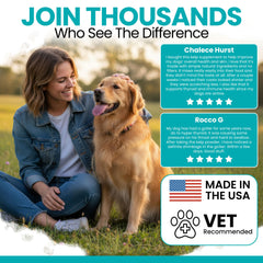 Chew + Heal Labs fabrication USA — poudre algue marine chien, qualité sans additifs