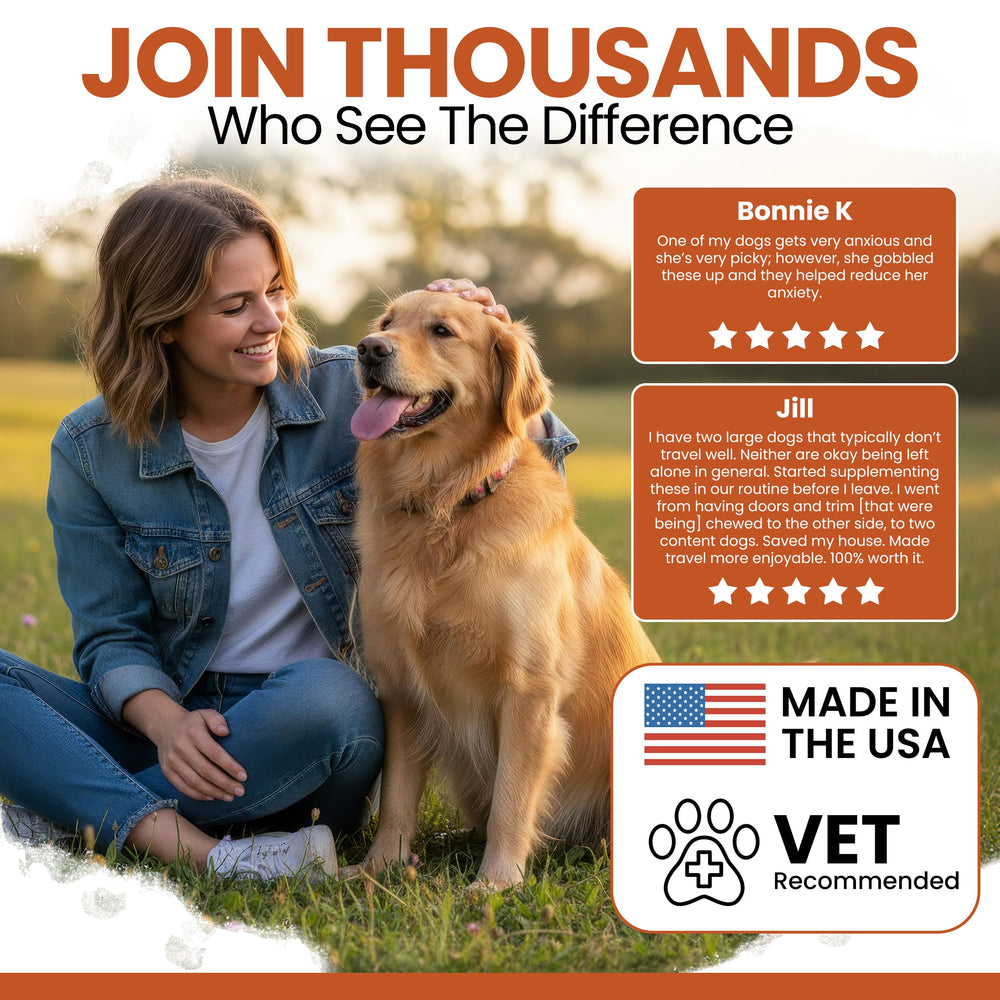 Aide digestive potentielle avec Chew + Heal Labs pour chiens.