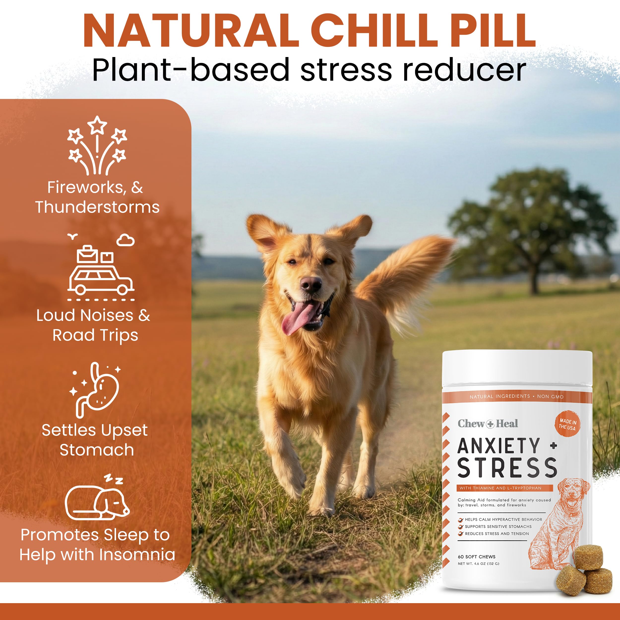 Saveur poulet des friandises Chew + Heal Labs, chien dégustant tranquillement.