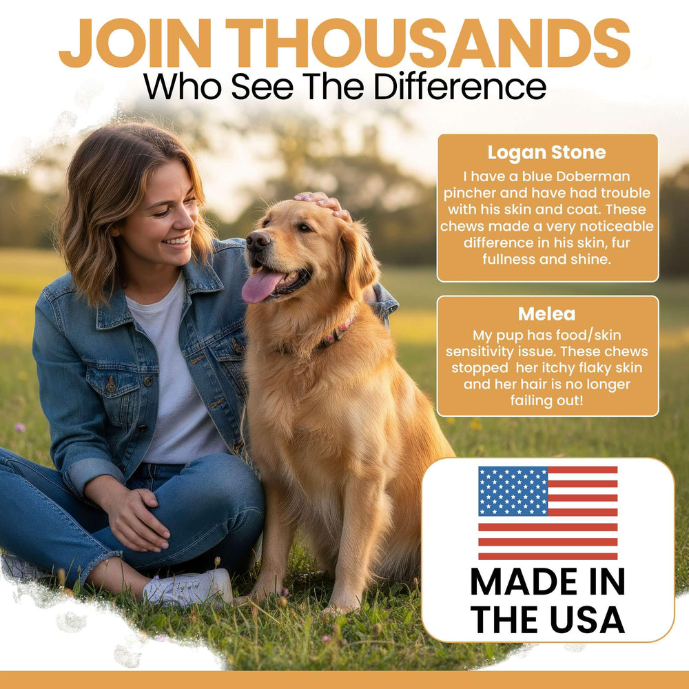 Chew + Heal Labs huile saumon doseur inclus pour dosage facile