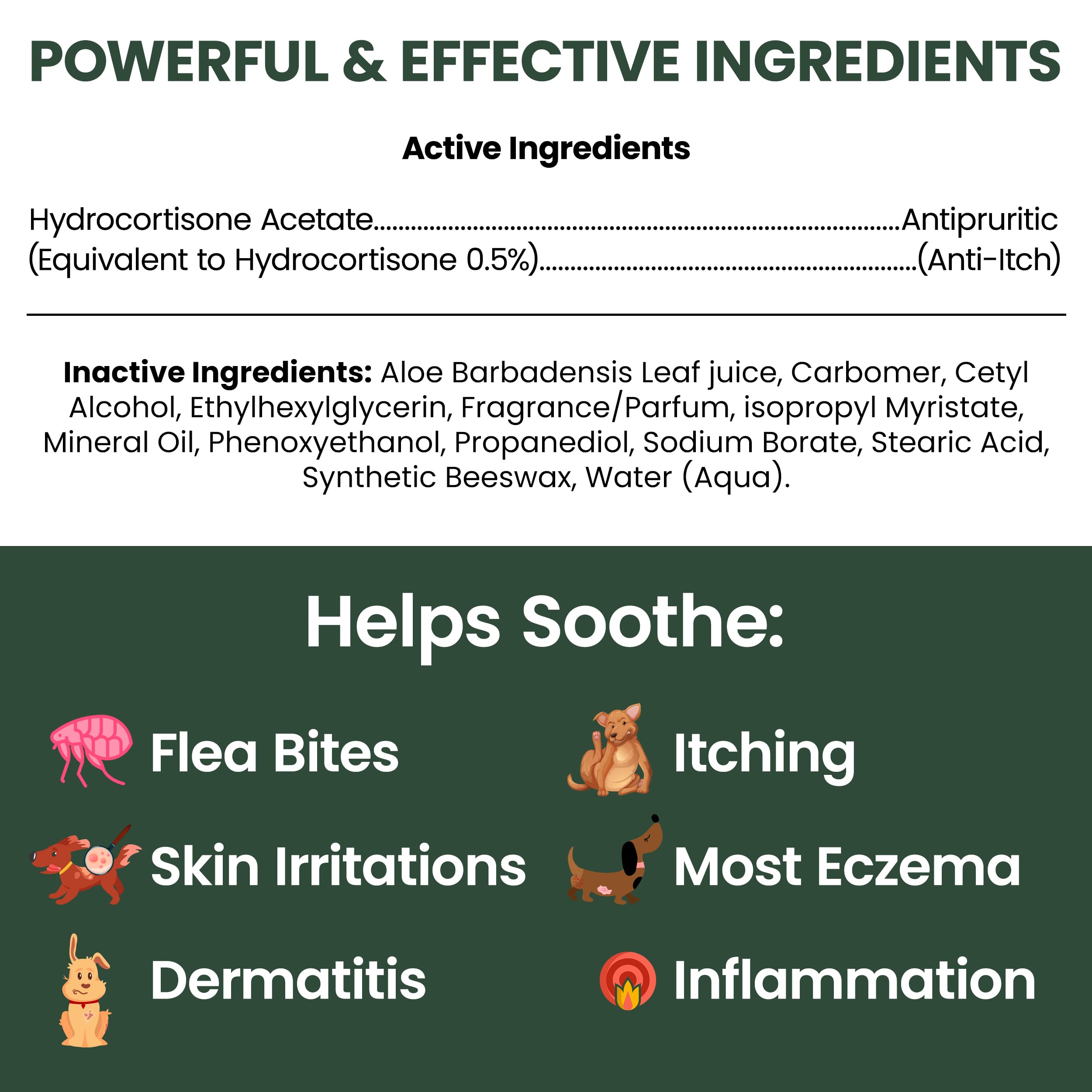 Application douce de la lotion hydrocortisone Chew + Heal sur la peau irritée du chien.