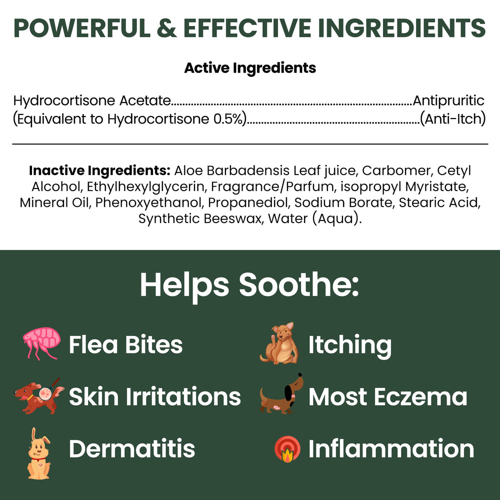 Texture legere de la lotion hydrocortisone sur le pelage du chien.