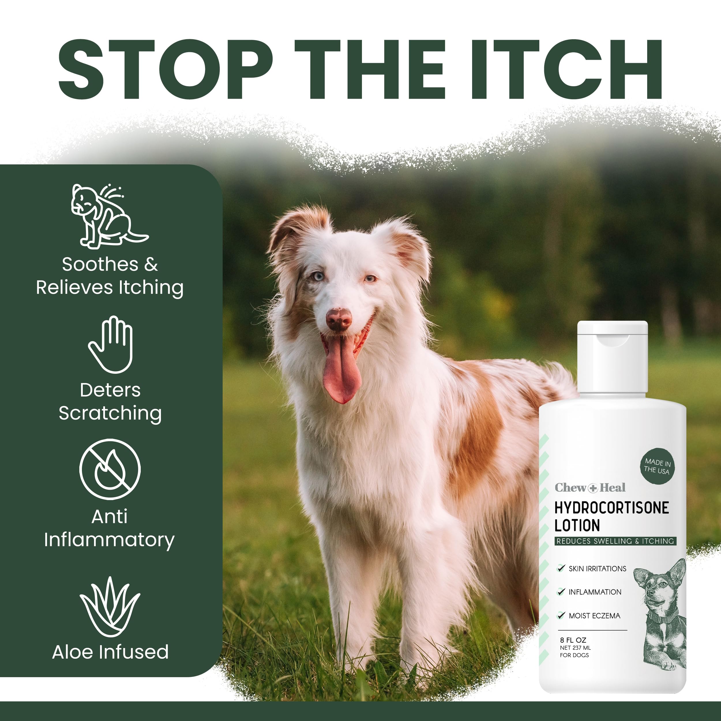 Zone irritée du chien traitée avec la lotion hydrocortisone Chew + Heal.