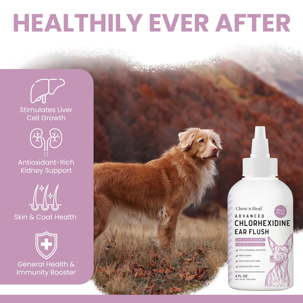 Chew + Heal Labs massage base oreille chien — confort après utilisation