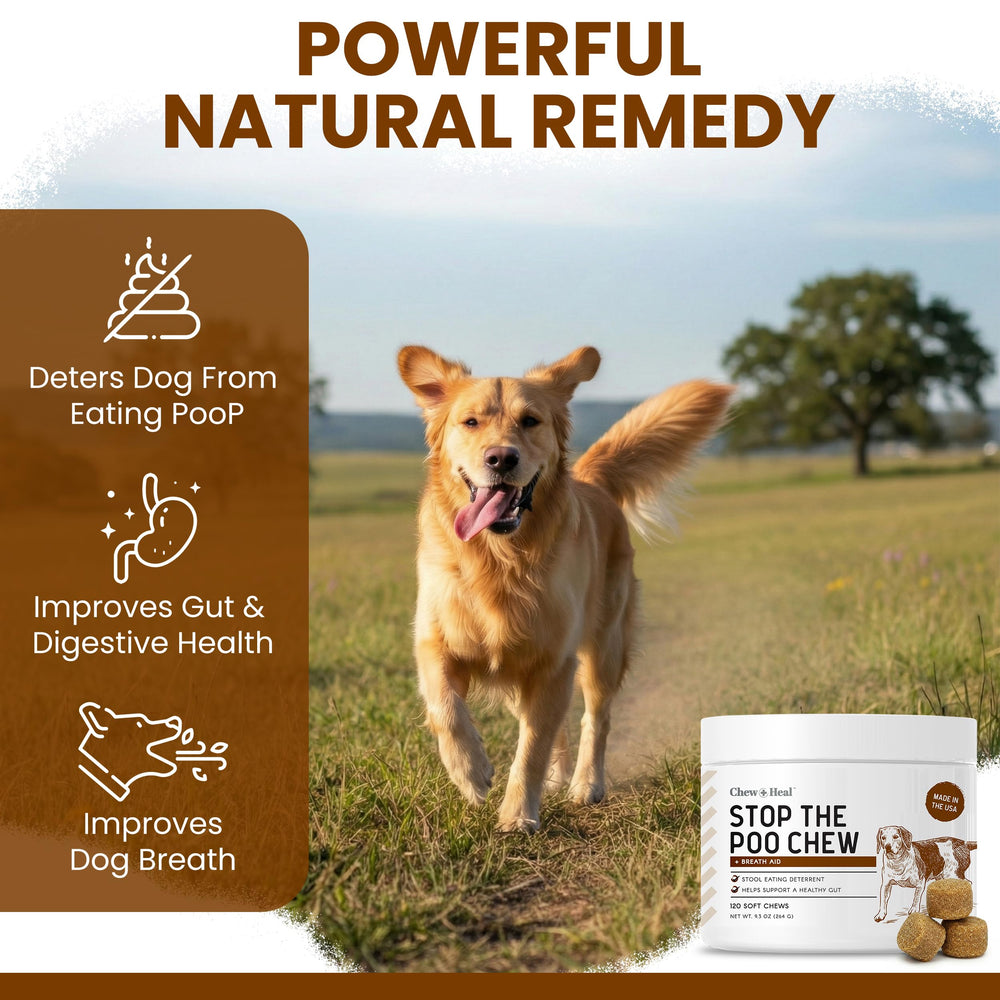 No Poo Chews saveur beurre de cacahuète, appétence élevée pour chiens