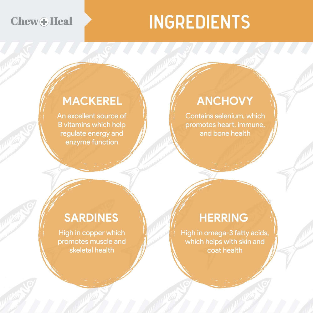 Gélules oméga-3 Chew + Heal Labs faciles à administrer.