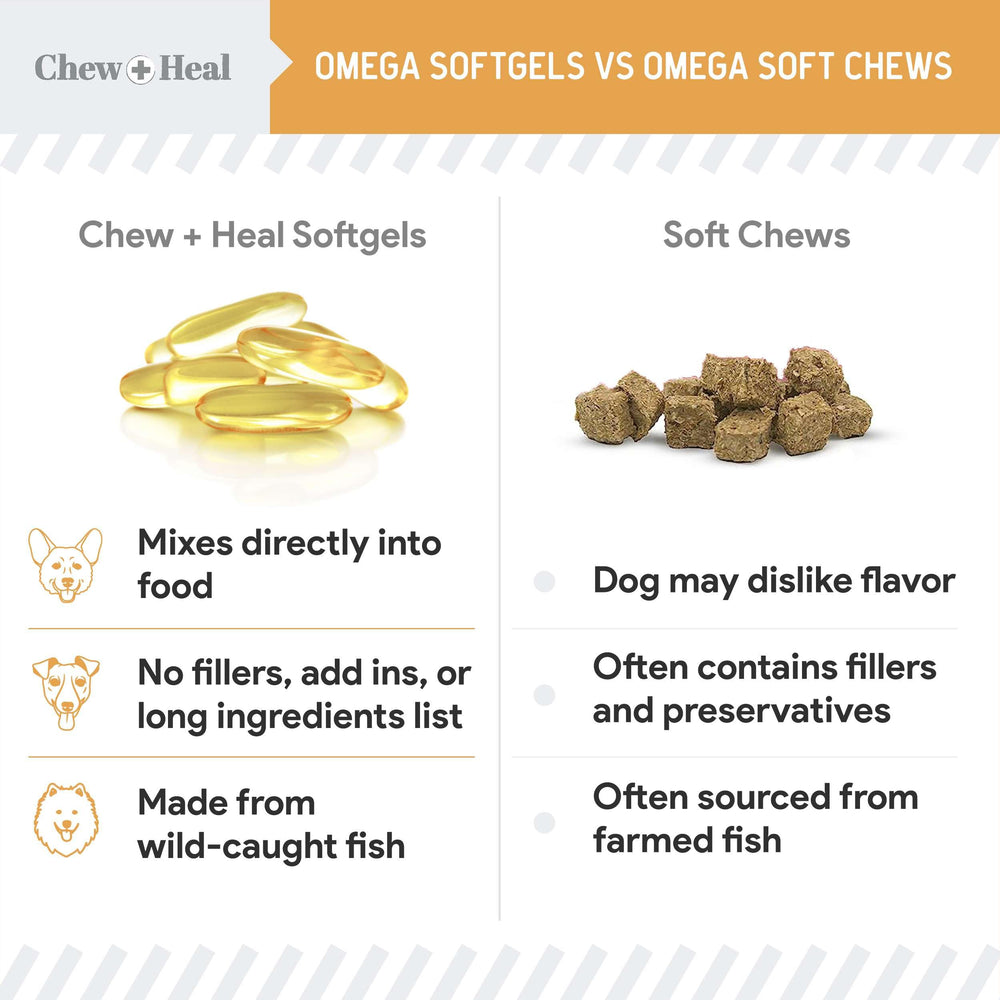 Mélange d’EPA et DHA dans Chew + Heal Labs Omega-3 pour chien.