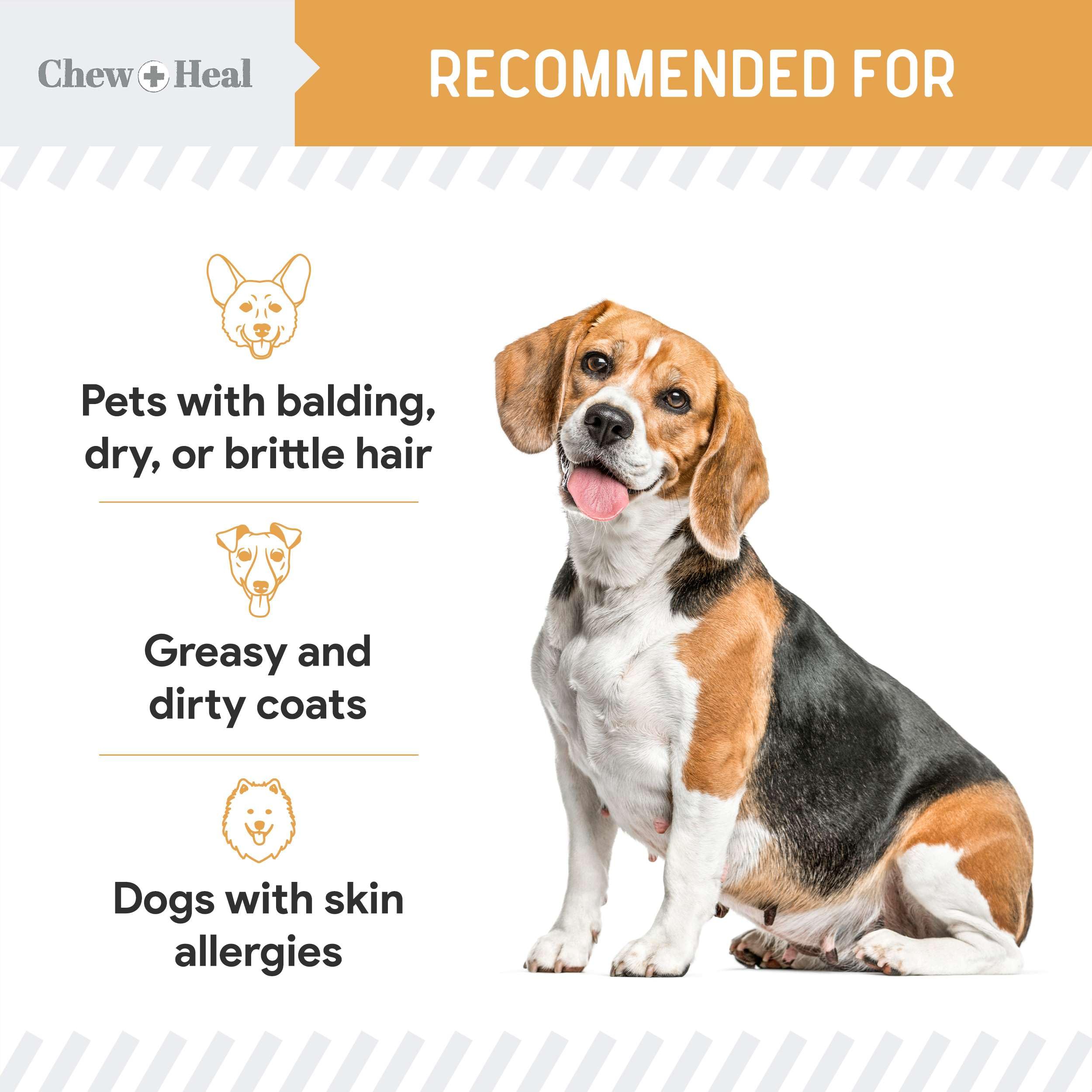 Pelage brillant et peau saine grâce à Chew + Heal Labs Omega-3.