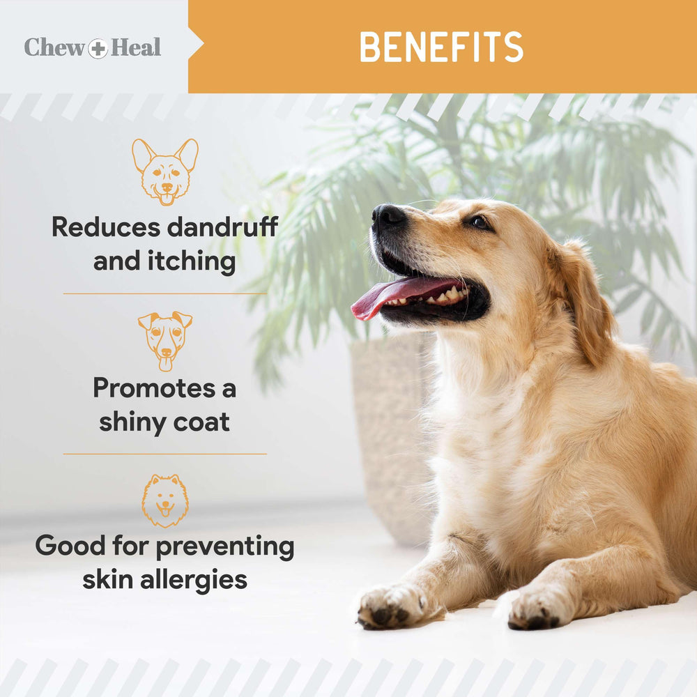 Omega-3 poisson sauvage pour chien, soutien potentiel peau et pelage.