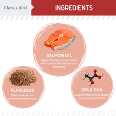 Chew + Heal Labs omega-treats pour peau et poil au saumon, pelage sain.