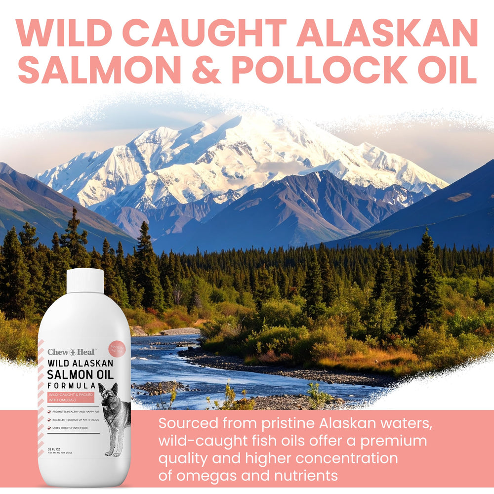 Omega-3 DHA EPA dans l’huile saumon, support potentiel pour santé animale.