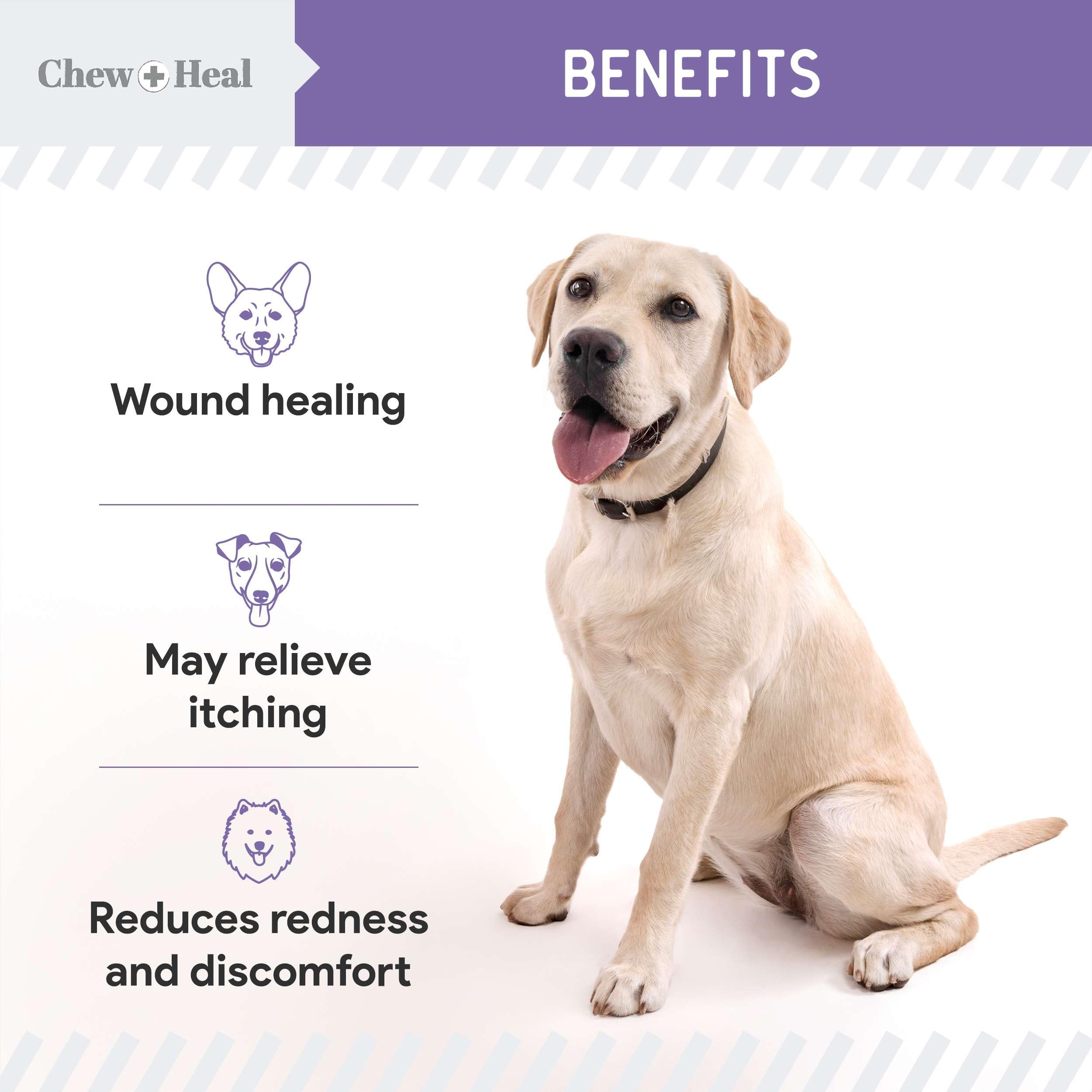 Chew + Heal Labs: application-plaie-brulure pour chiens, soutien léger.