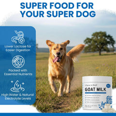 Chew + Heal Labs poudre lait chèvre – muscles et récupération