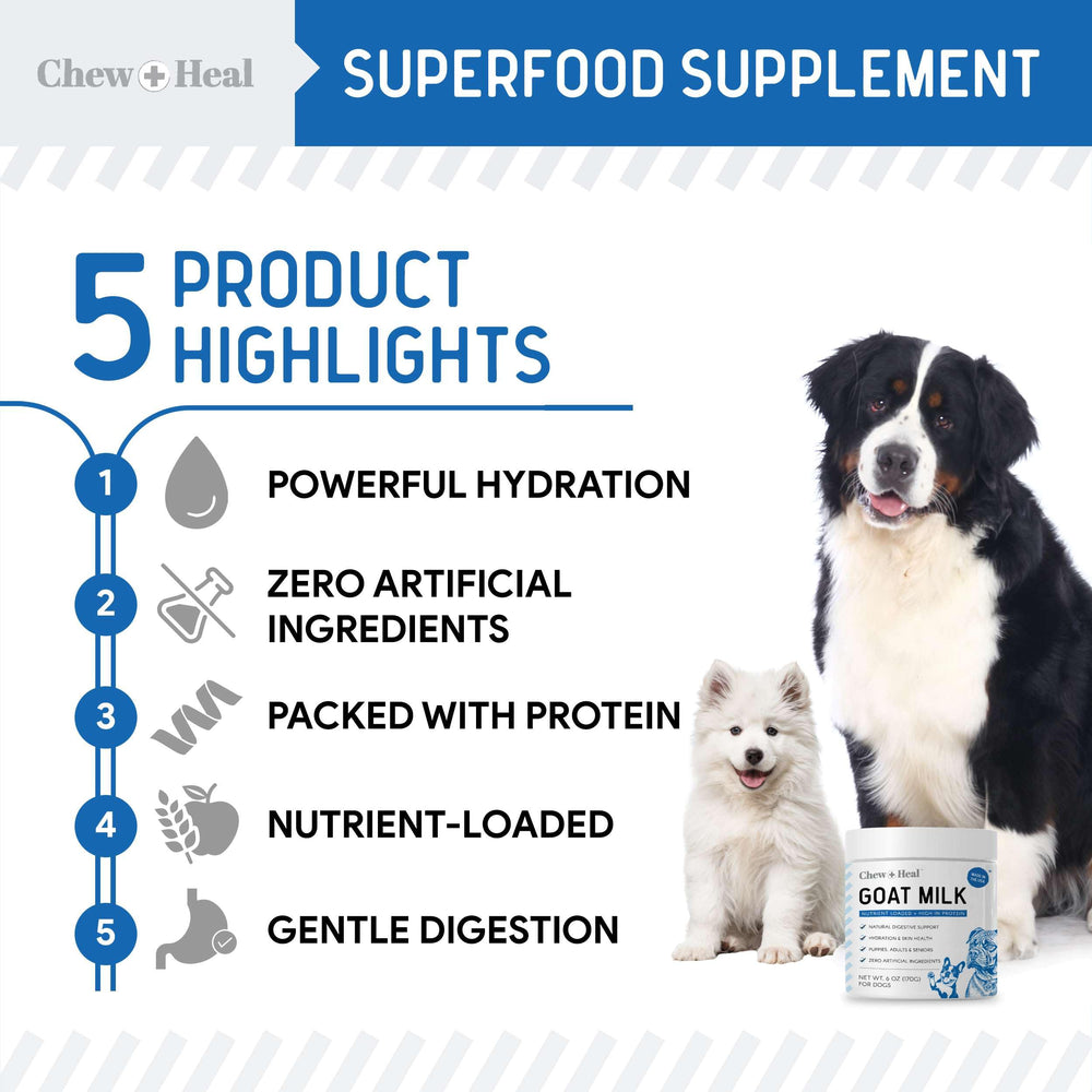 Chew + Heal Labs poudre lait chèvre – pour l’usage quotidien des chiens
