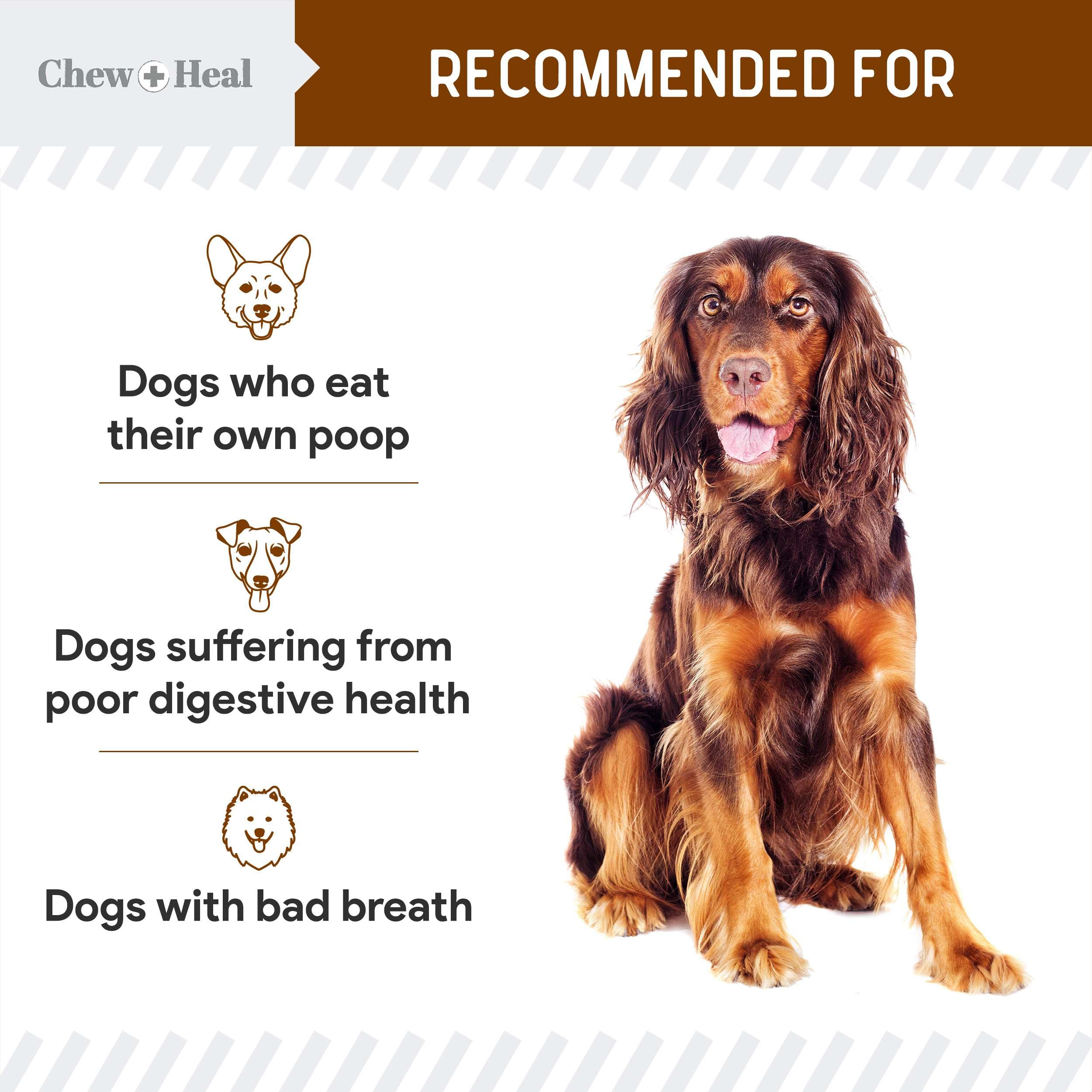 Chew + Heal Labs prébiotique FOS et camomille soutiennent la digestion.