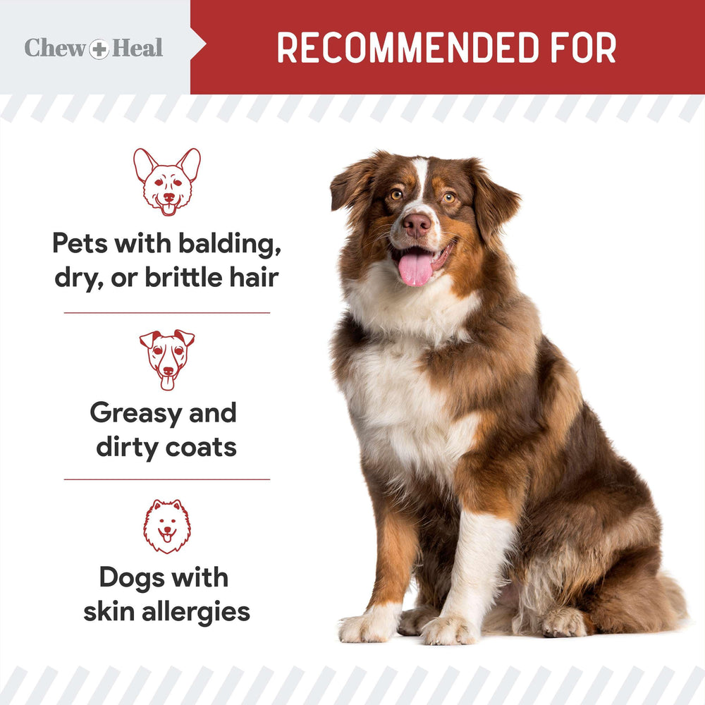 Chew + Heal Labs prébiotiques et probiotiques pour la digestion.
