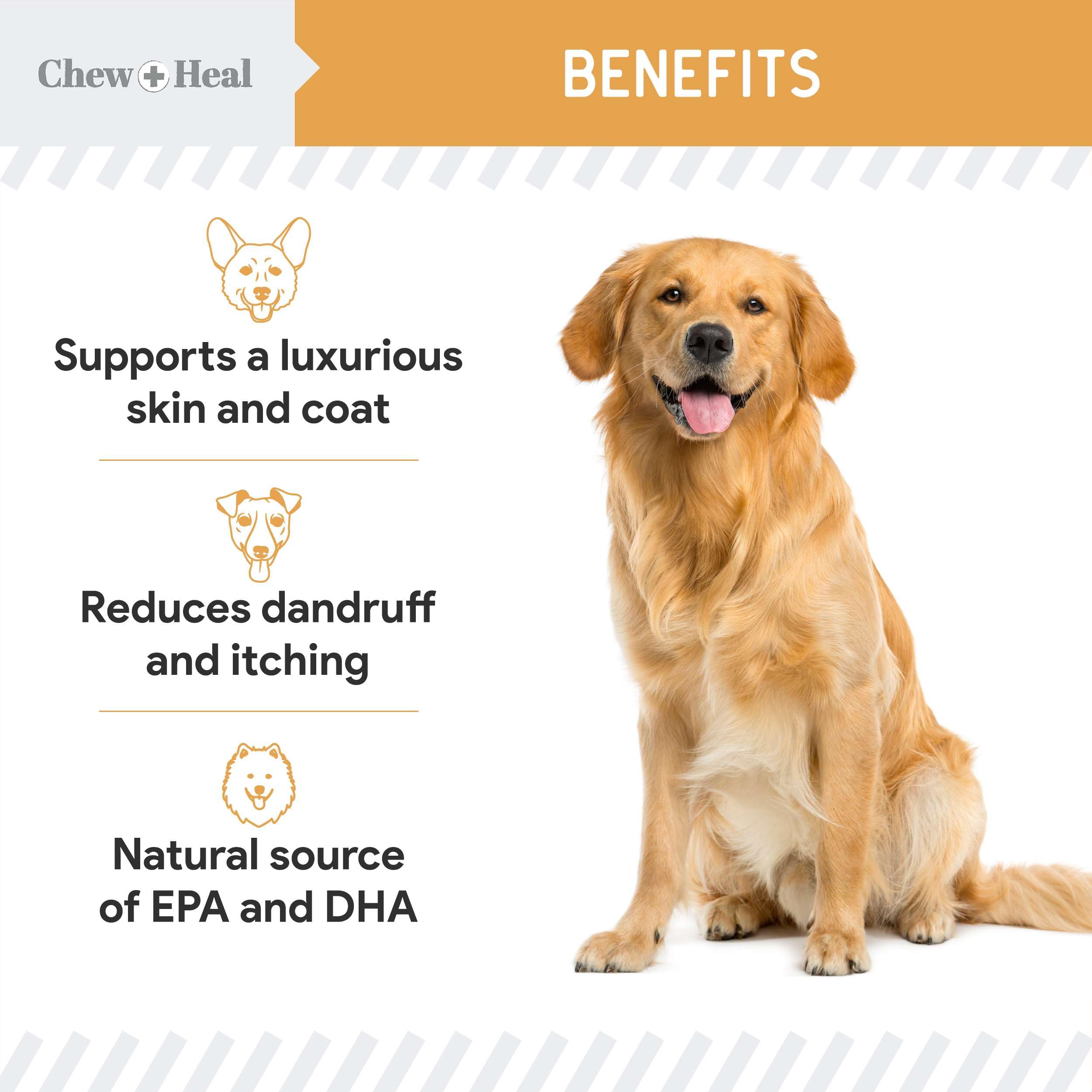 Ingrédients sans colorants artificiels dans Chew + Heal Labs