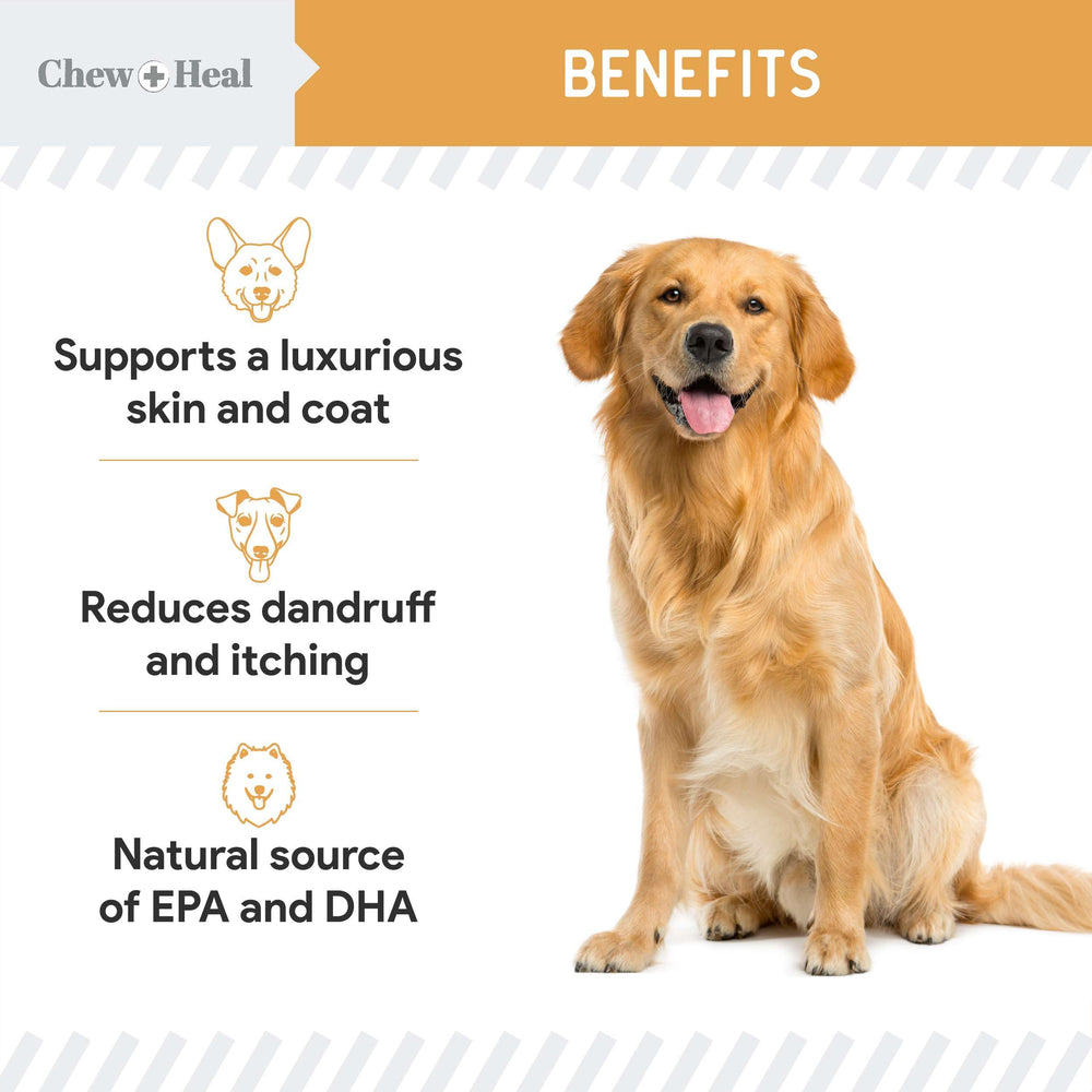 Ingrédients sans colorants artificiels dans Chew + Heal Labs