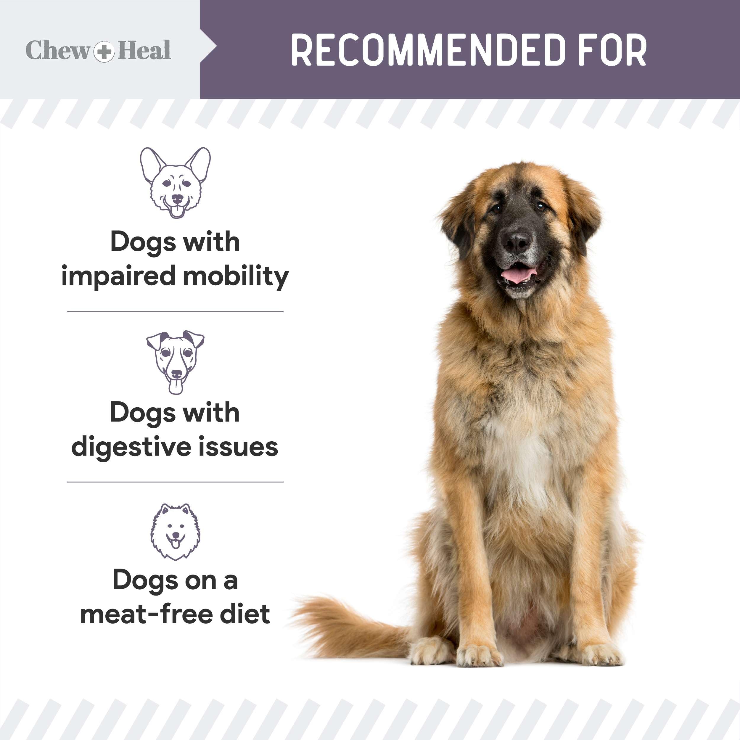 Chew Heal Labs citrouille naturelle aide digestion.
