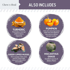 Chew Heal Labs ingrédients naturels saumon, peau et pelage soutenus.