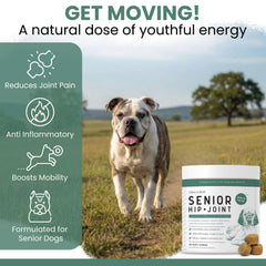 Chew Heal Labs Senior : liste d'ingrédients et apports nutritionnels clés.