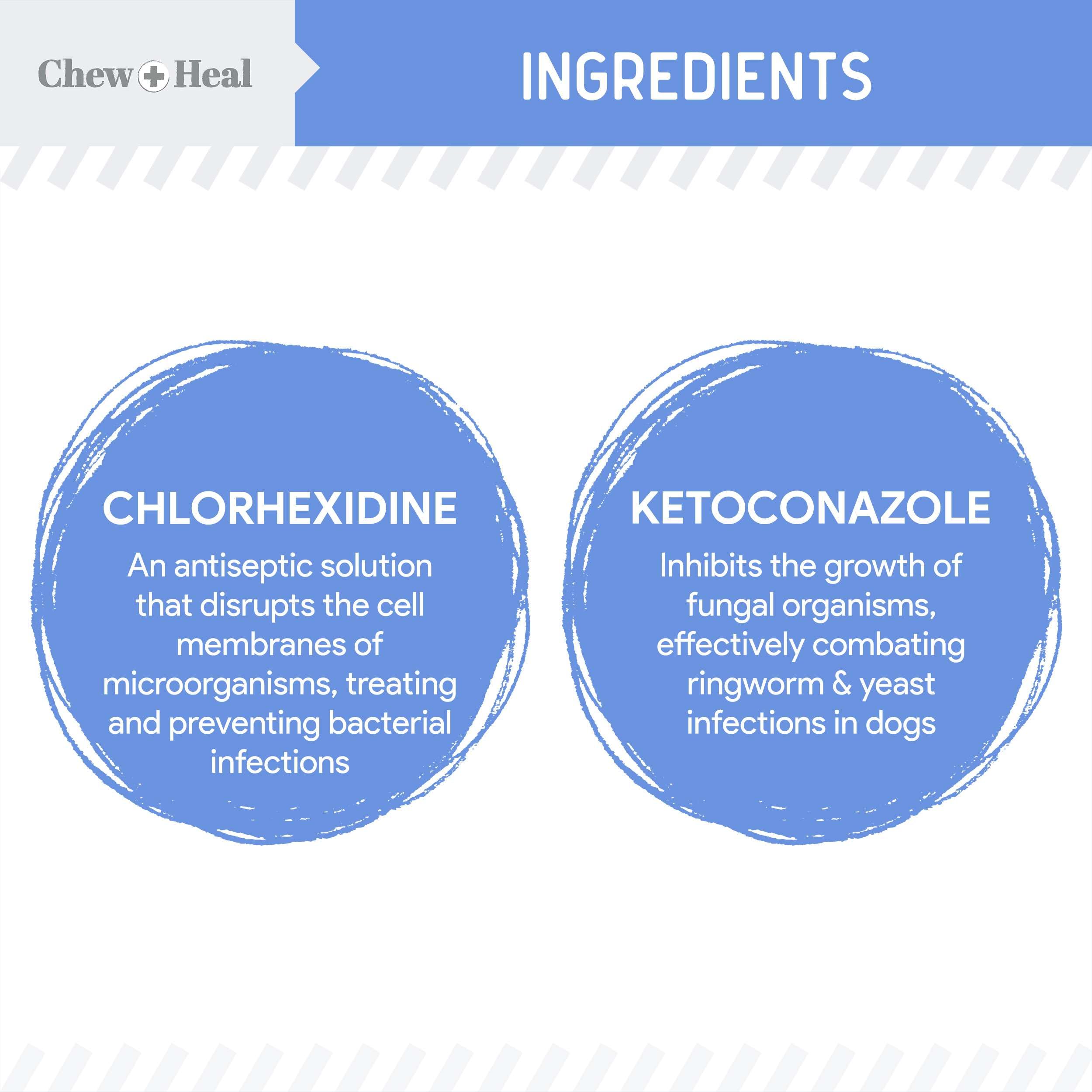 Application facile sur la patte canine avec le spray Chew + Heal Labs.