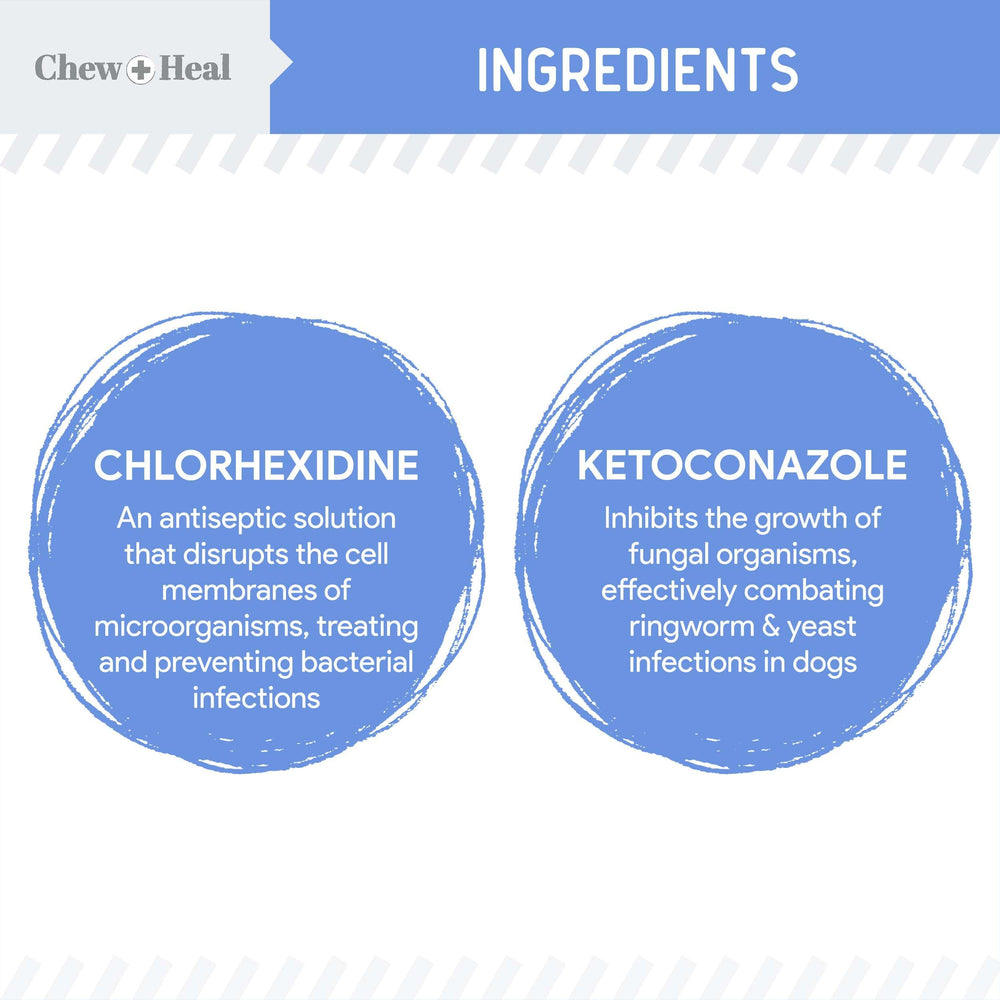 Application facile sur la patte canine avec le spray Chew + Heal Labs.