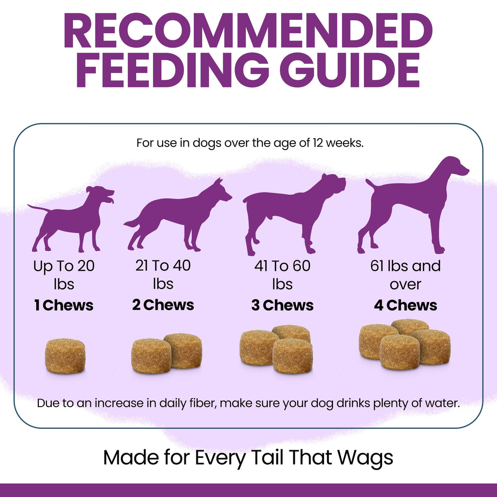 Stop le Scoot de Chew Heal Labs — chien content en train de mâcher une friandise.