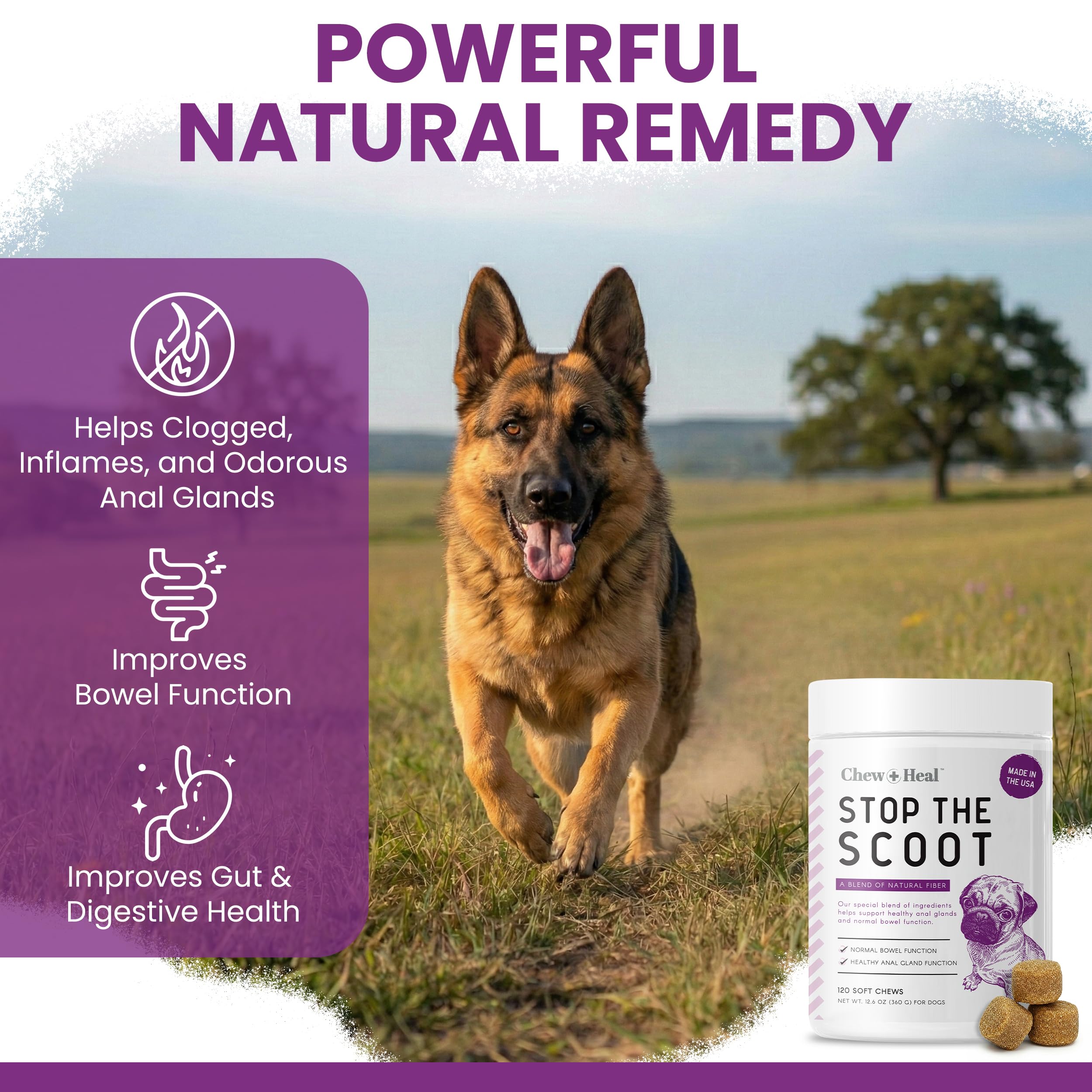 Stop le Scoot de Chew Heal Labs — friandises moelleuses saveur poulet appréciées par les chiens.