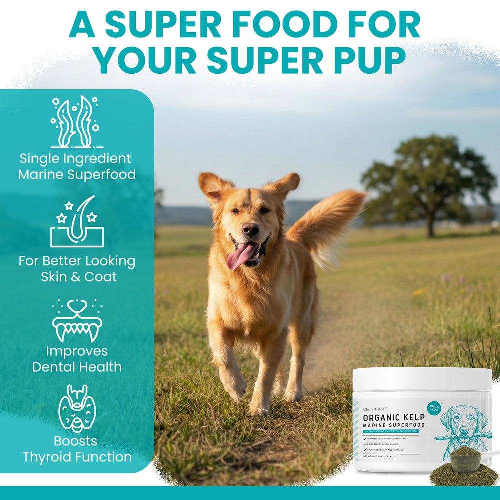 Chew + Heal Labs texture granulee algue marine — mélange facile dans la nourriture du chien