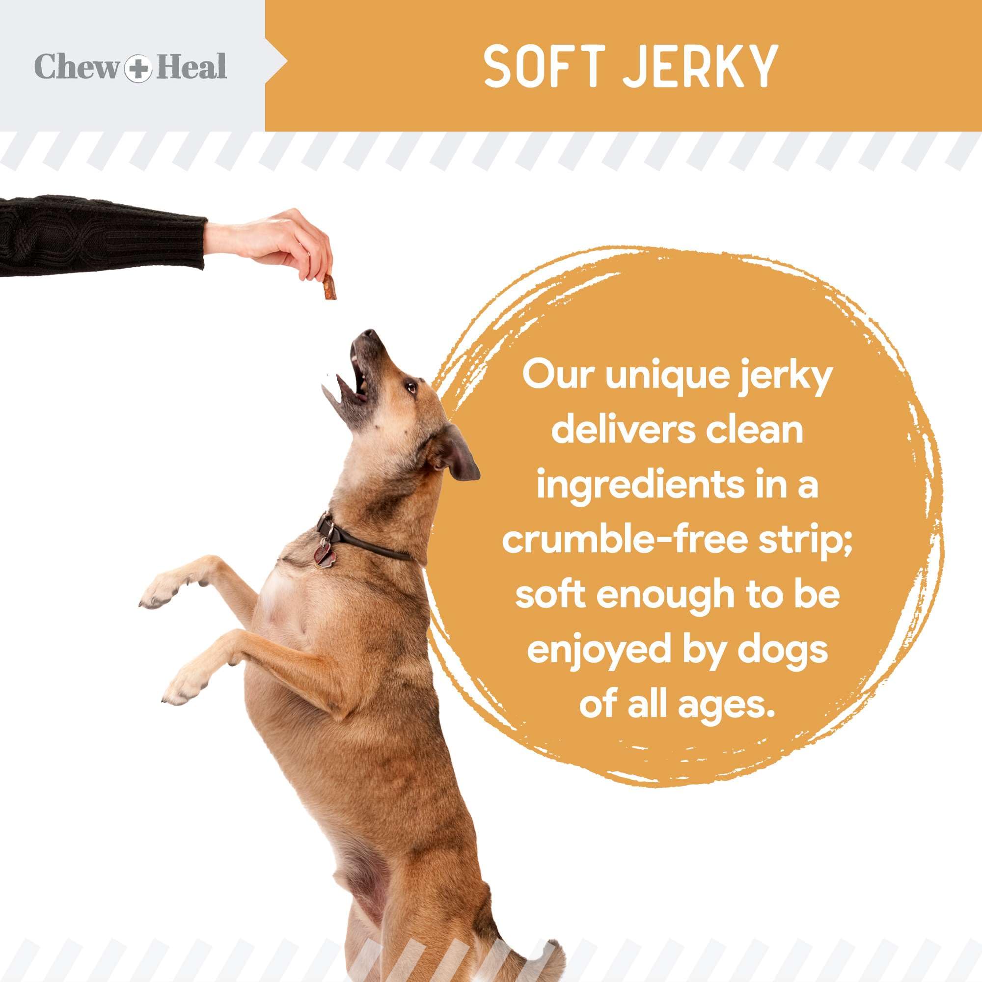 Texture moelleuse prête à être mâchée par chiens