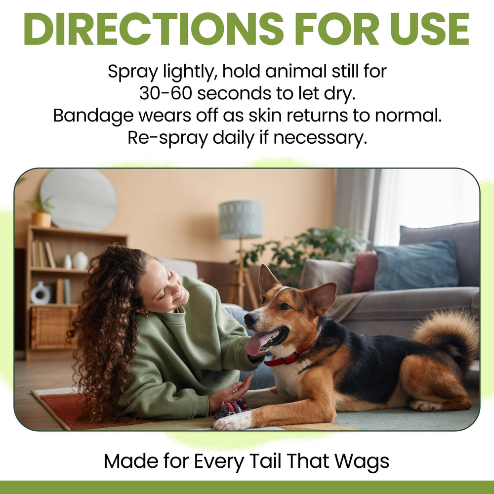 Trousse de soins chiens avec Chew + Heal Labs, idéale pour les promenades