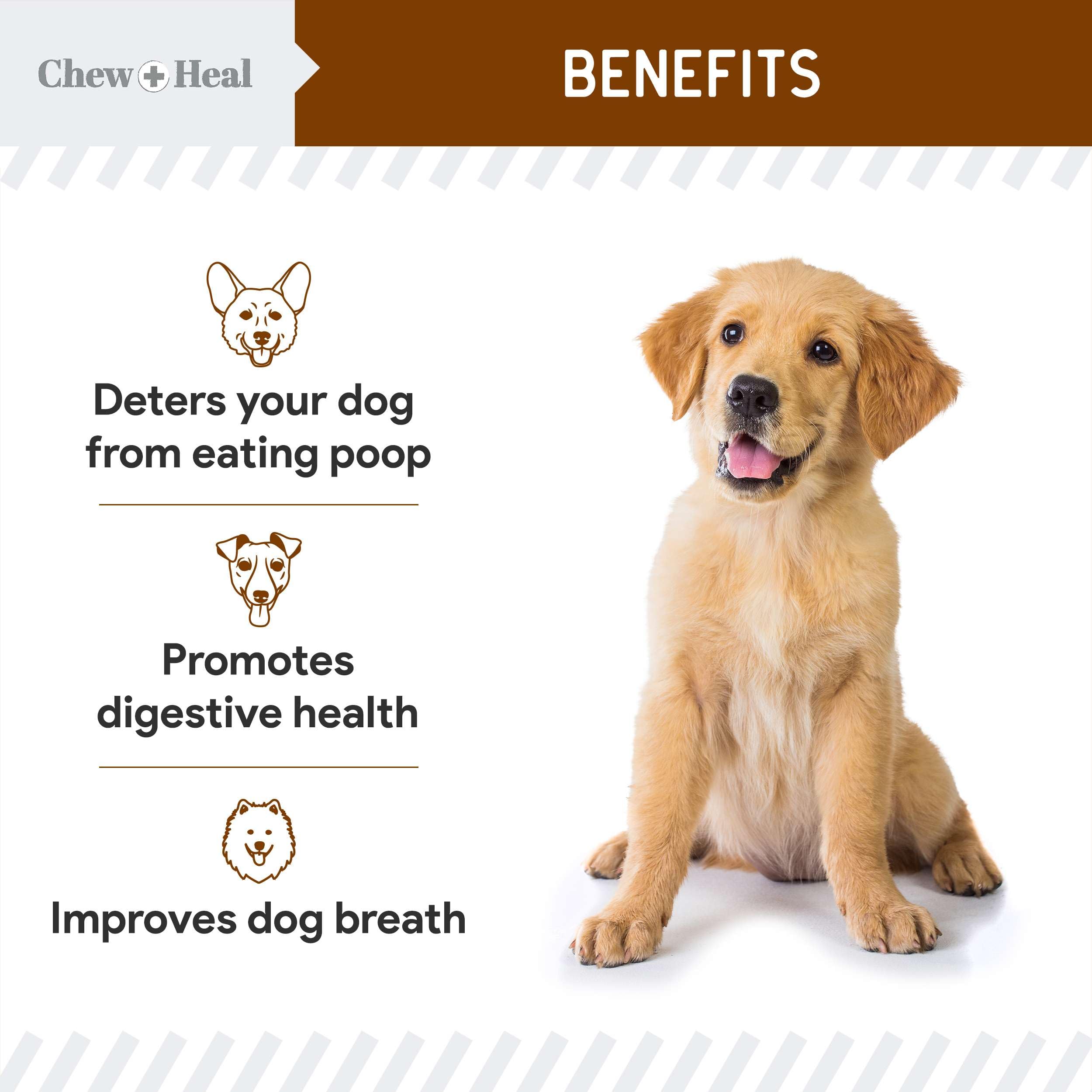 Chew + Heal Labs odeur selles et urine neutralisée grâce au yucca.
