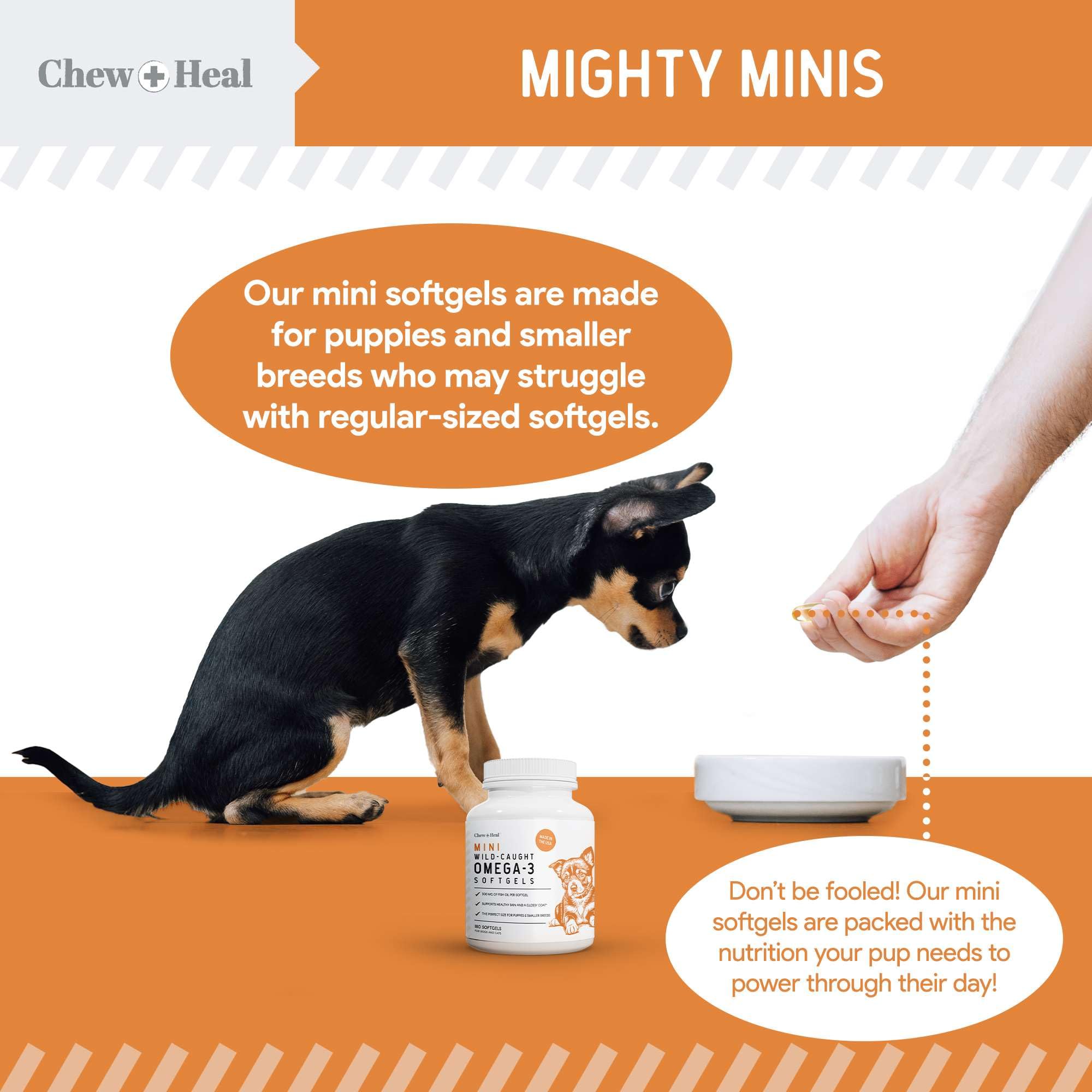 Chew + Heal fabriqué aux États-Unis — qualité et traçabilité